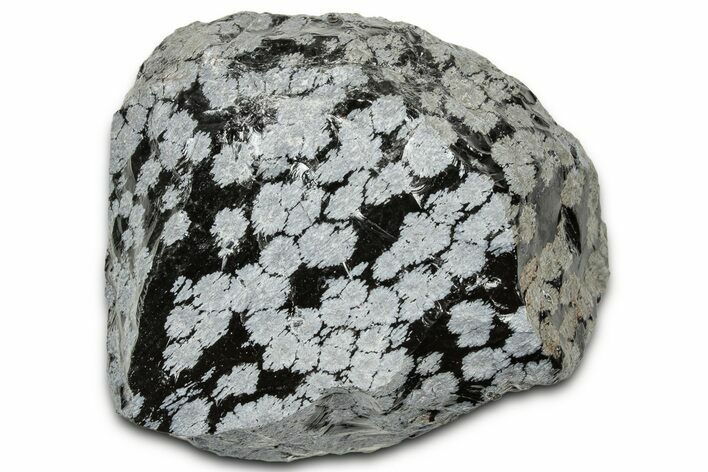 Snowflake Obsidian Section - Utah #327109